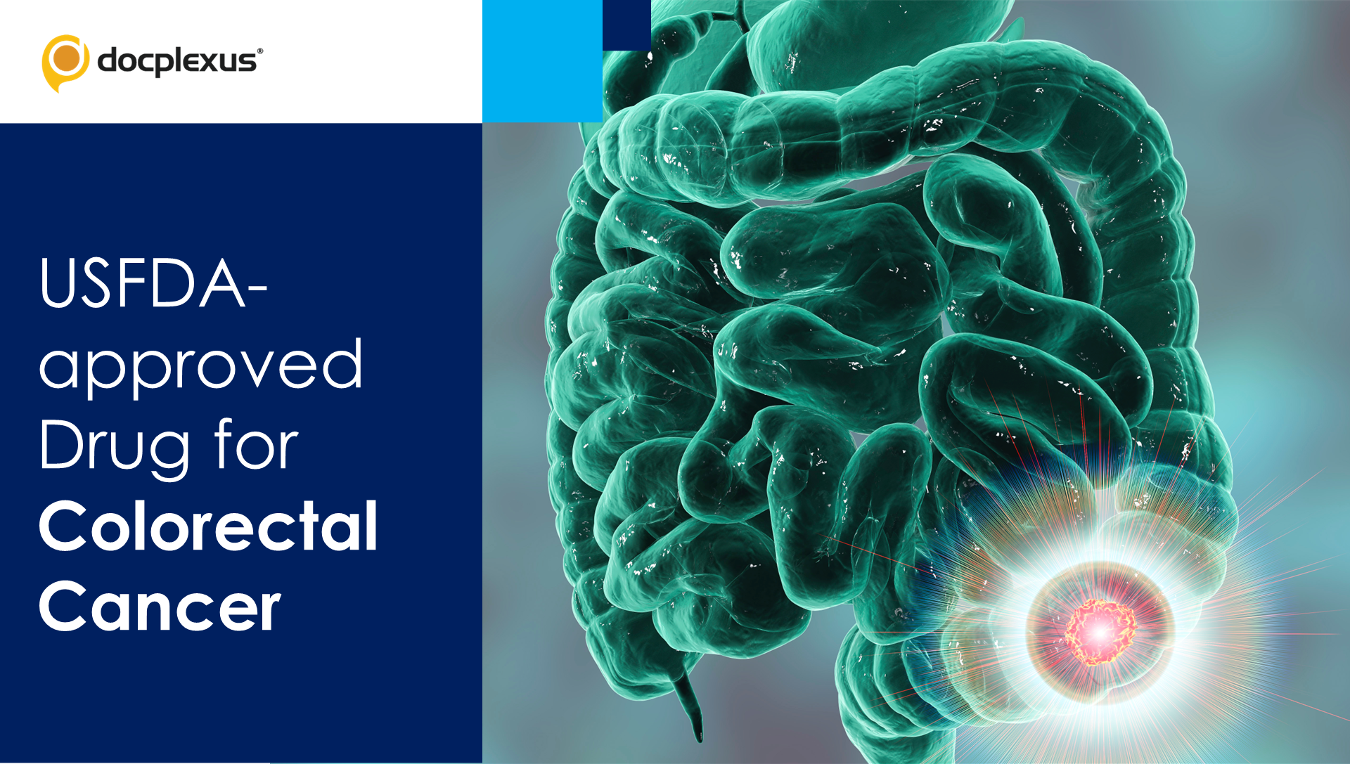USFDA Approves Drug Combination for Colorectal Cancer