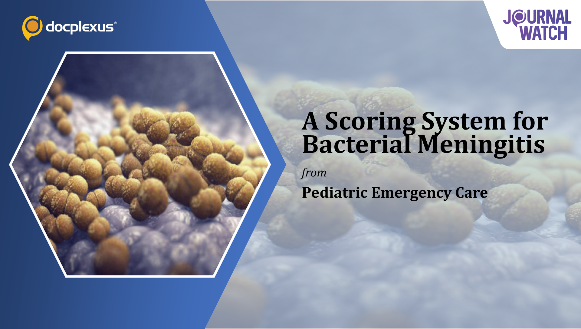 A Scoring System to Evaluate the Risk Factors of Childhood Bacterial Meningitis