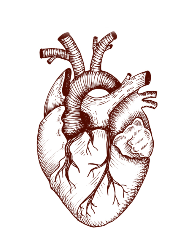 Robotic Cardiothoracic Surgery in Public Sector Hospitals