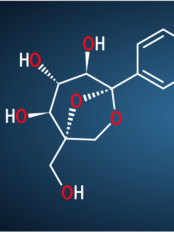 Cardiorenal Protection with SGLT2 Inhibitors in Diabetes