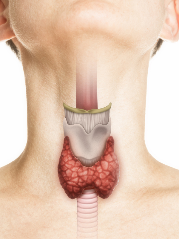Microscopic Thyroidectomy