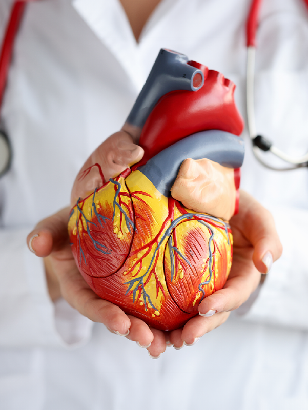 Revolutionizing Cardiovascular Health: Innovations and Insights