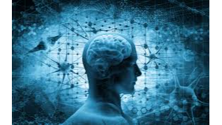 Why Emotional Intelligence is Important in Leadership