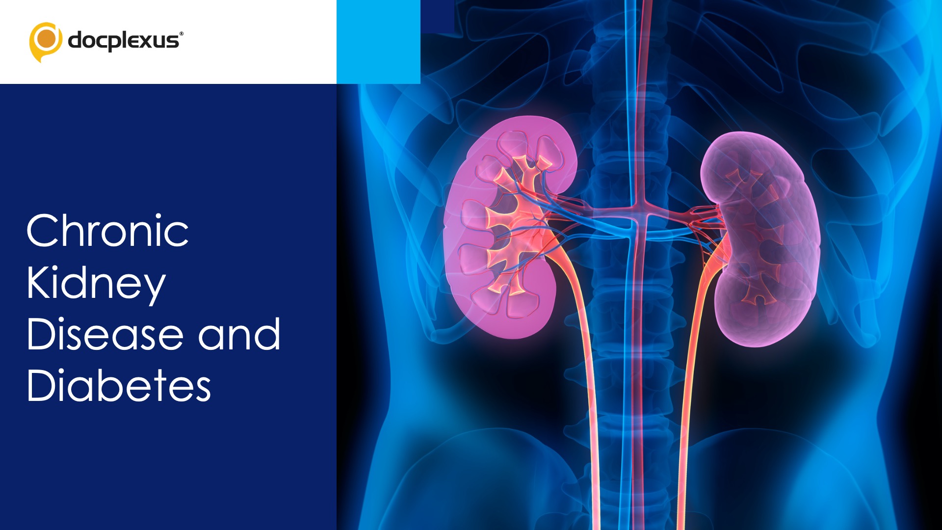 Chronic Kidney Disease and Diabetes
