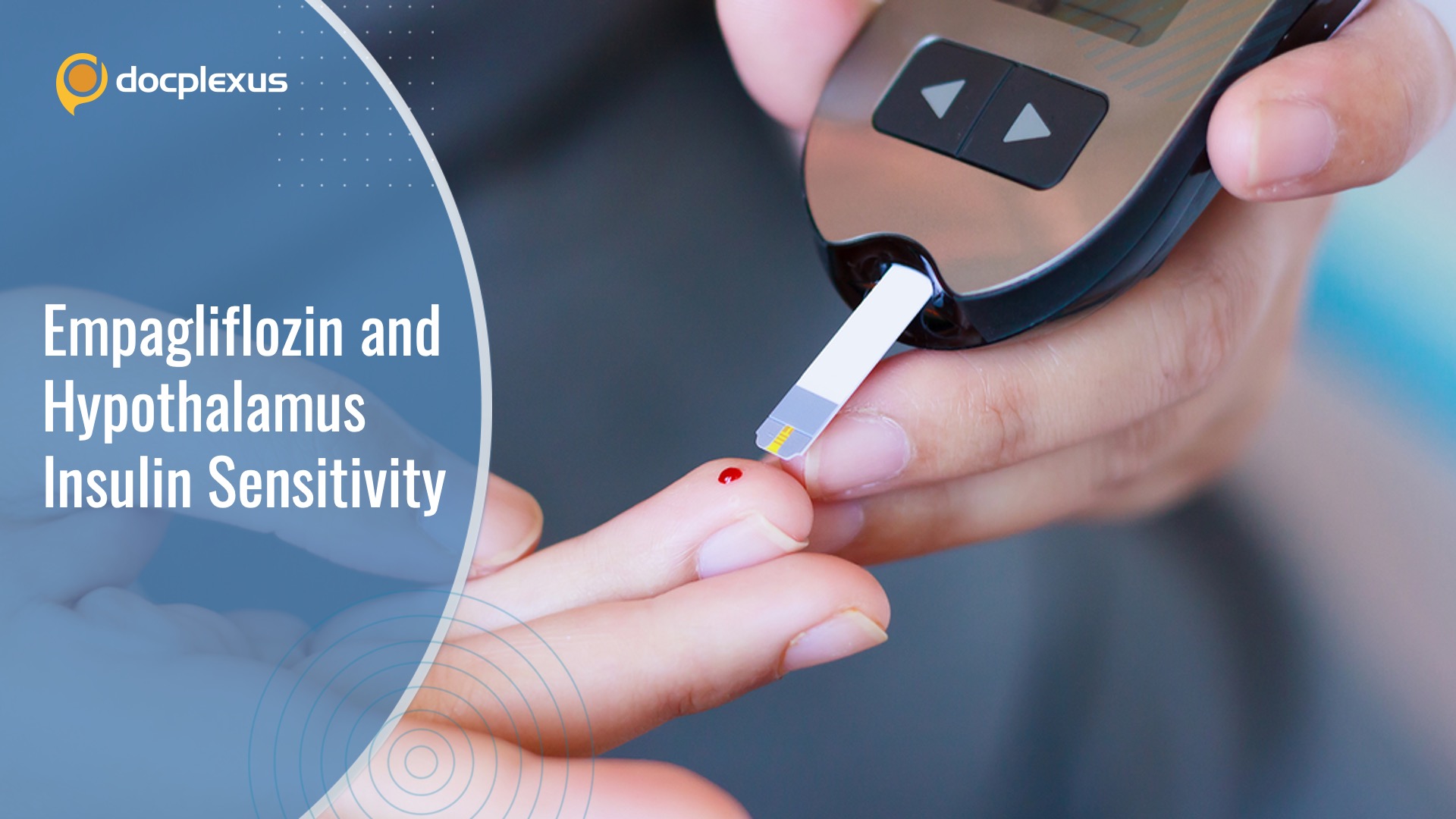 Reinstating Hypothalamus Insulin Sensitivity