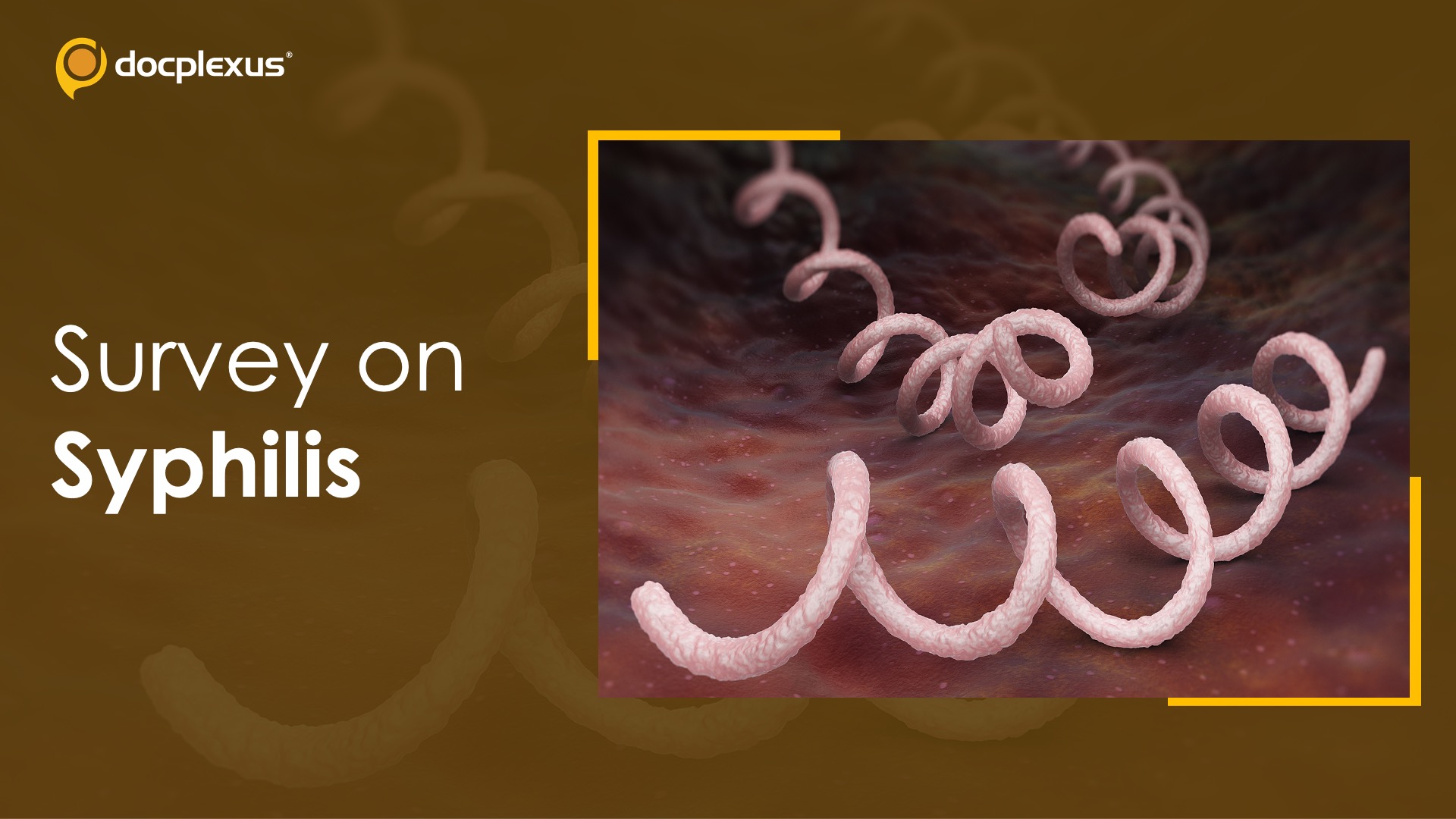 Take This Survey on Syphilis
