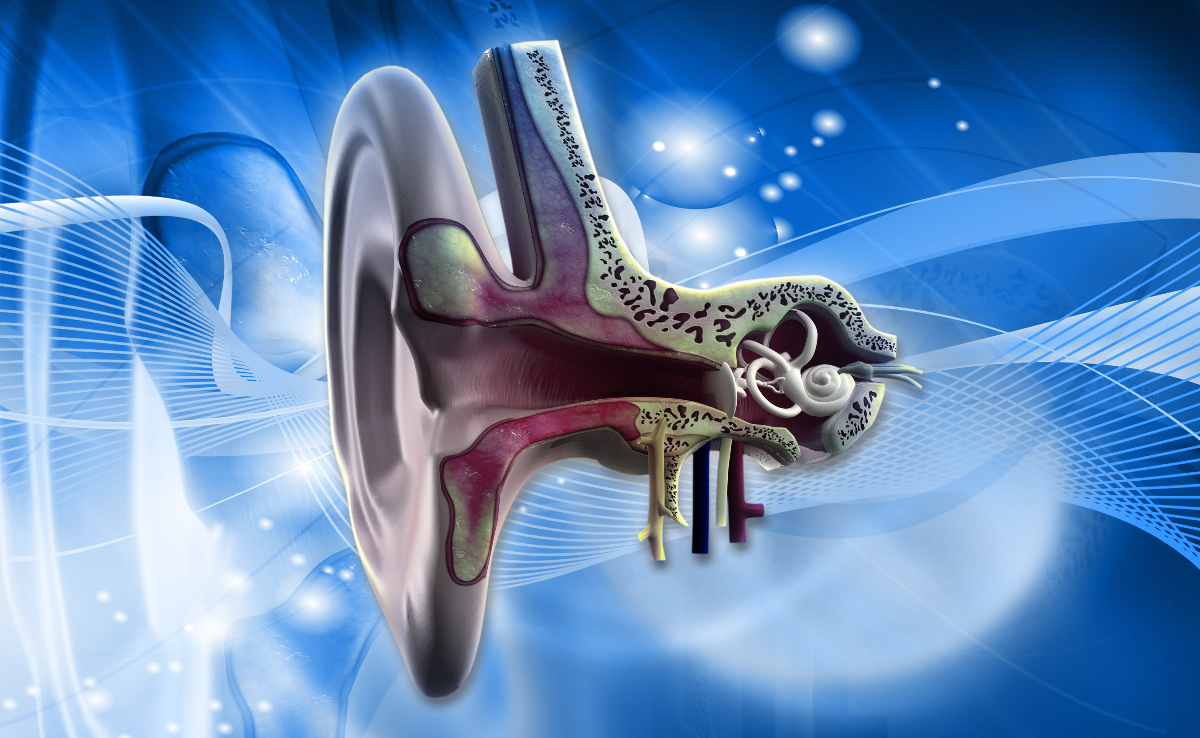 The Technique of Psychoacoustics Revisited