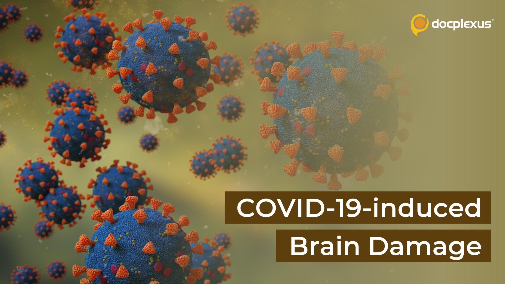 Revisiting the First Case of COVID-19-induced Brain Damage
