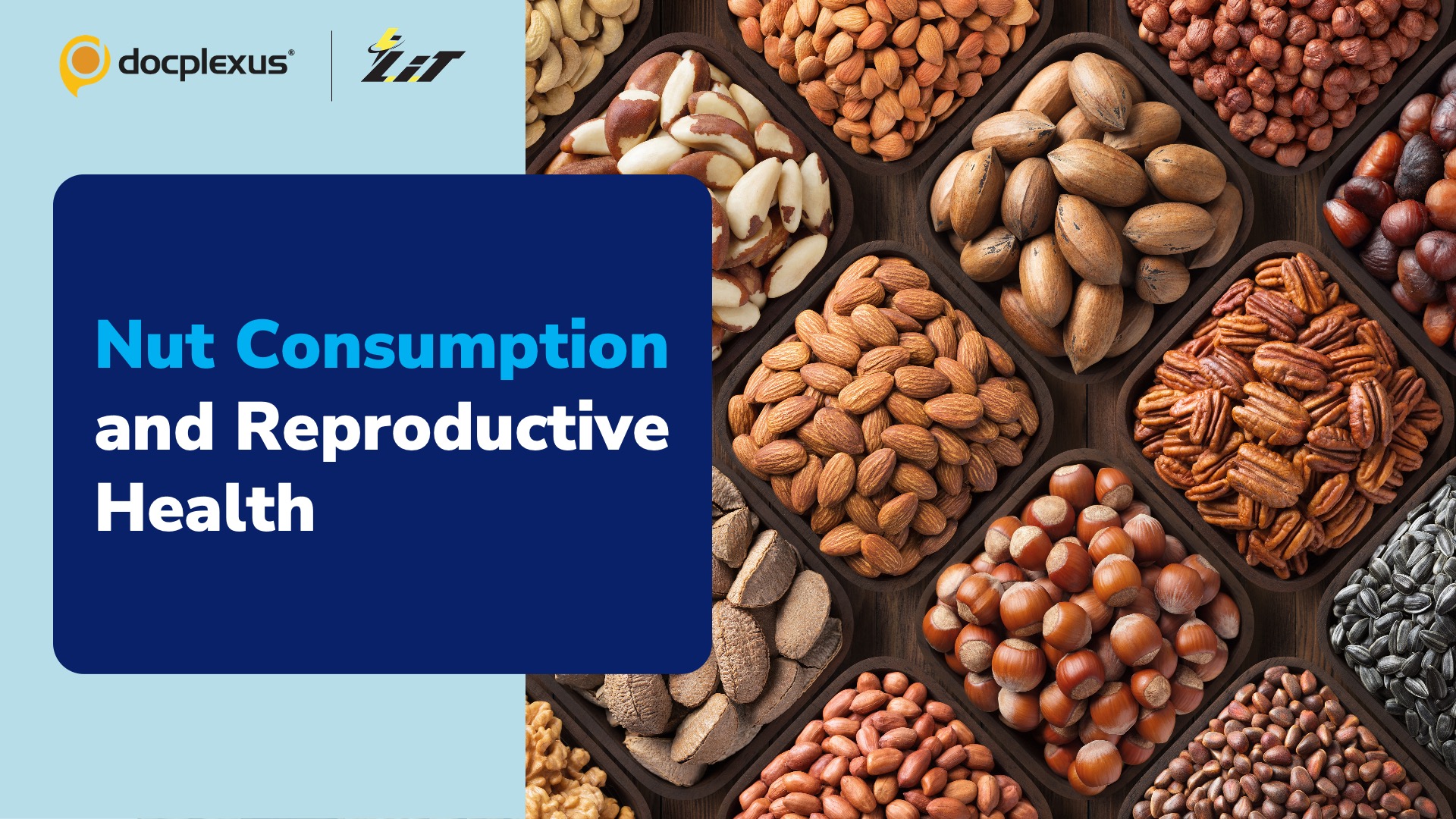 Can Consumption of Nuts Improve Reproductive Health in Men?