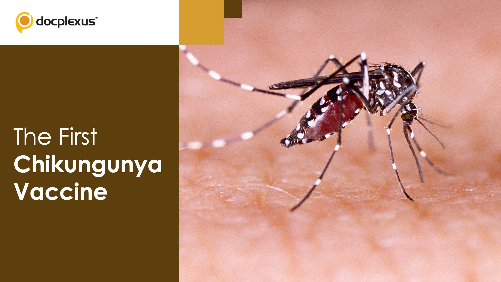 USFDA Approves the First Chikungunya Vaccine for Adults
