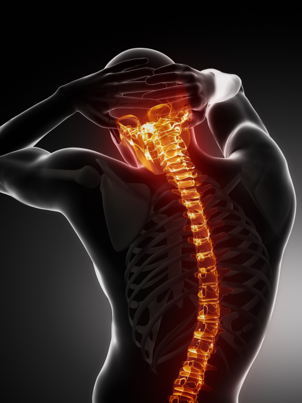 Non-fusion Approach for Correcting Anterior Scoliosis