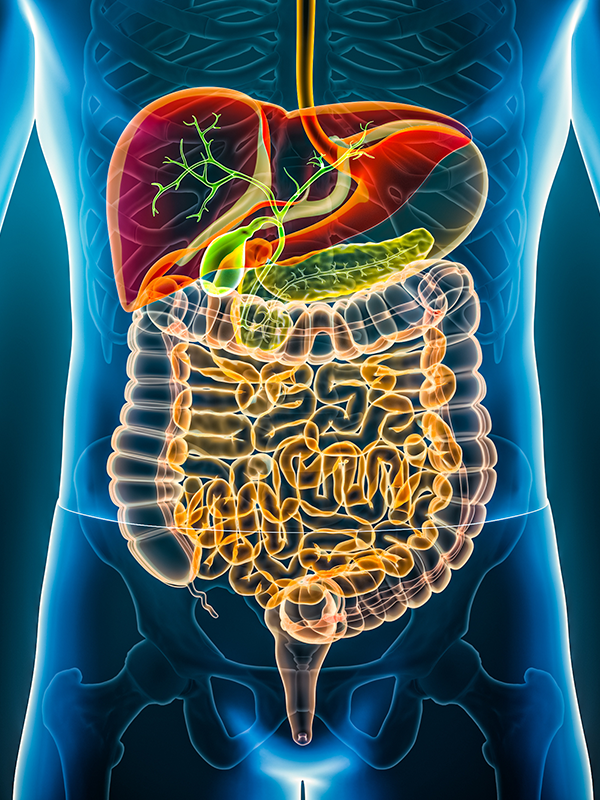 Unraveling Gastrointestinal Frontiers: In Conversation with the IAGES President