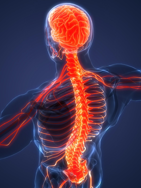 Spine Deformity Correction