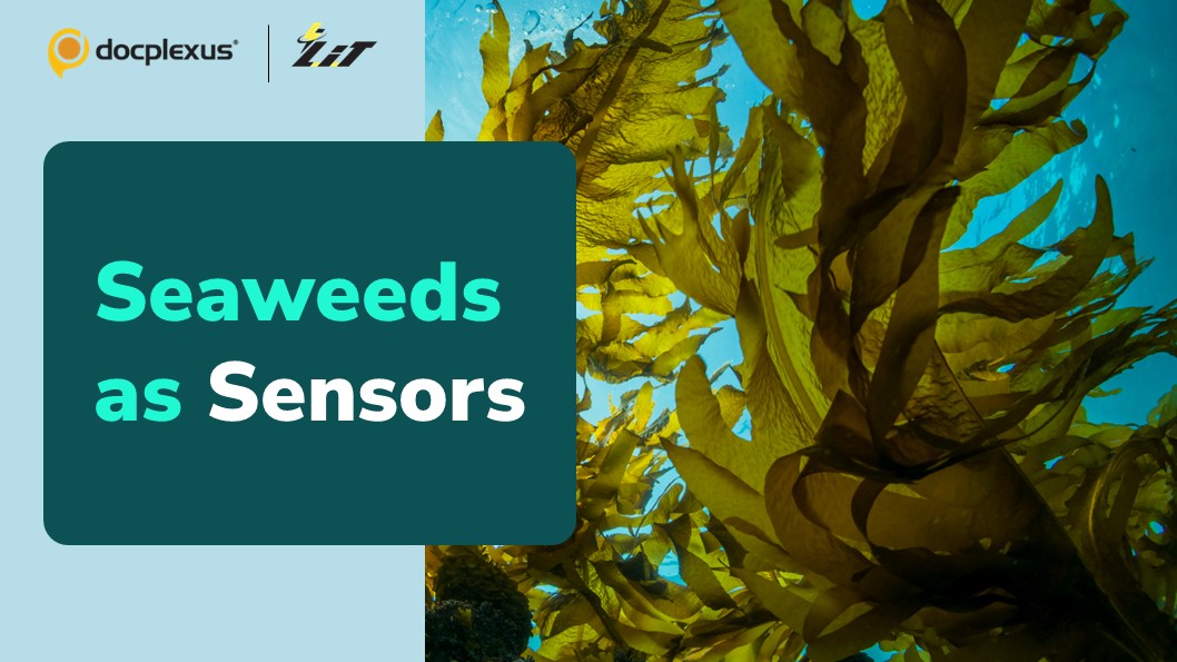 Biodegradable Sensors: Revolutionizing the Health Sensing Technology