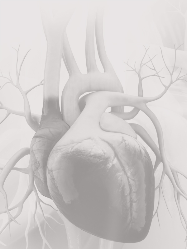 The Ozaki Neocuspidization of Aortic Valve: The Long-term Option for All Ages