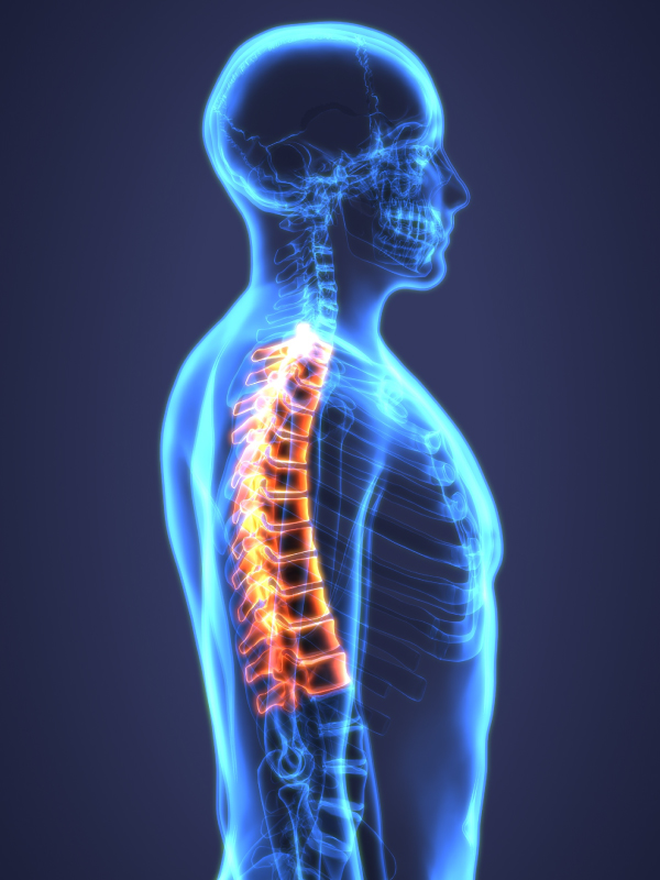 The Posture Papers: Understanding the Influence of Posture on the Spine