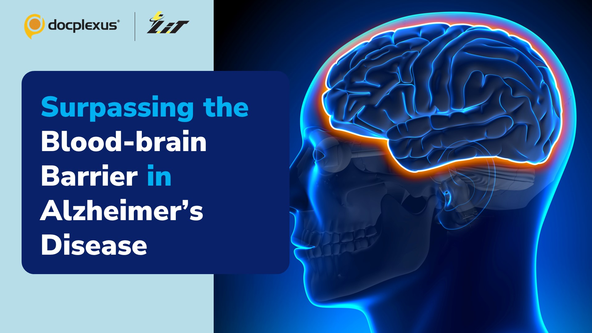 Treating Alzheimer’s – Transporting Antibodies Across the Blood-brain Barrier