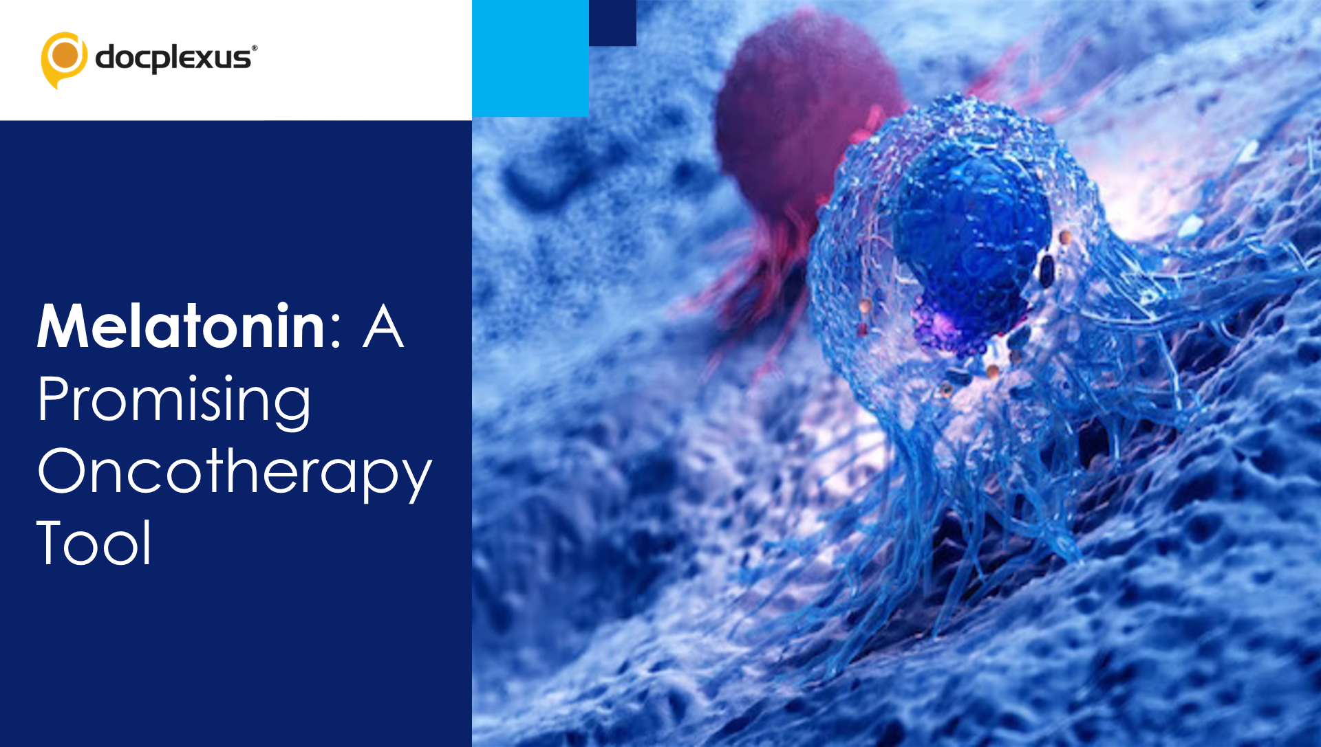 Melatonin in Cancer Therapy