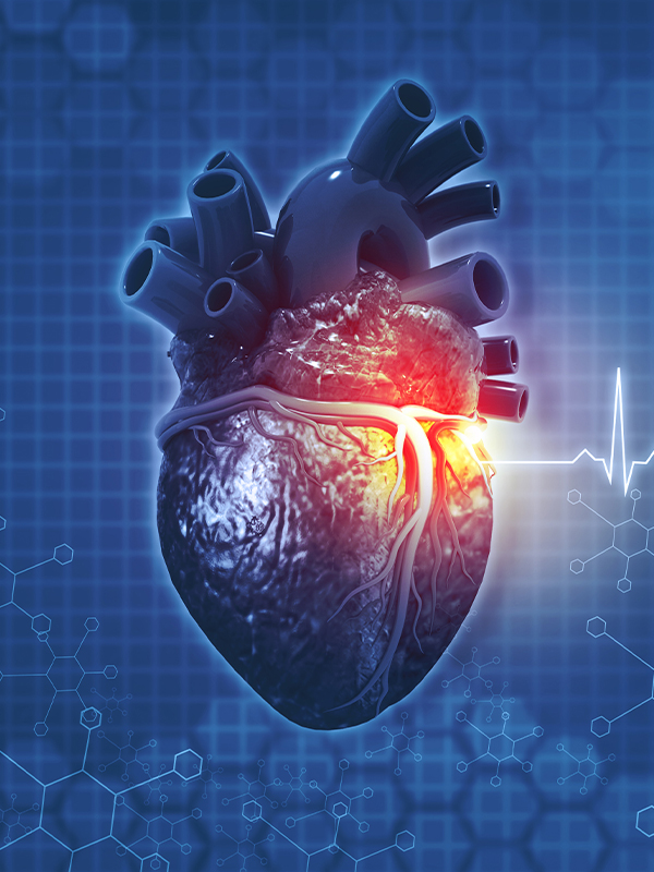 Optimizing Procedural Outcomes of TAVI in Challenging Anatomies