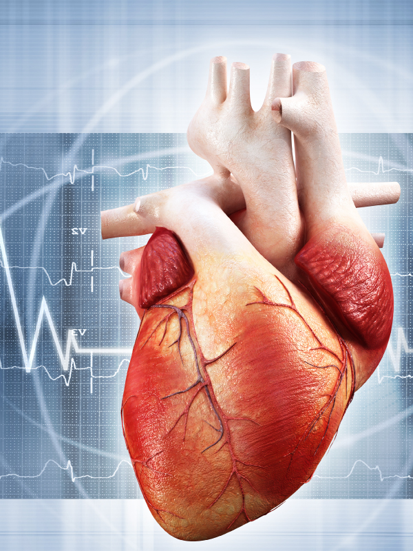 Approach to Hypernatremia | Medicolegal Safeguard at Individual Clinic Level