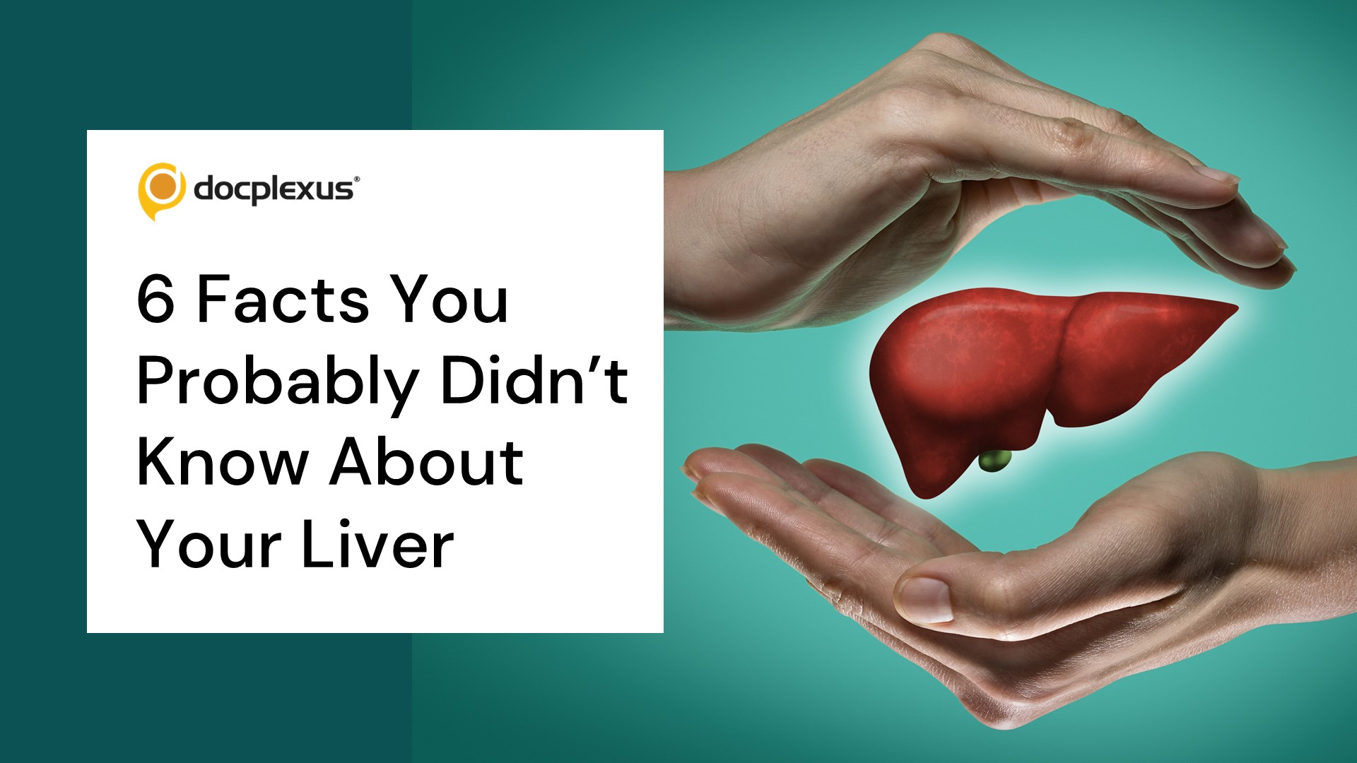 World Liver Day: Interesting Facts About the Liver