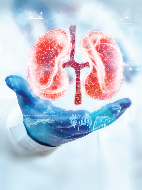 Prevention of Chronic Kidney Disease