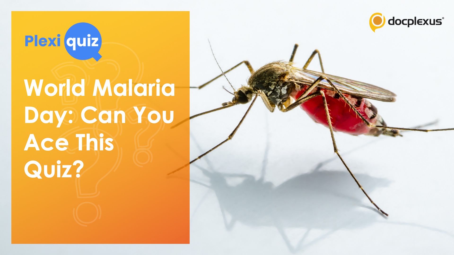 How Well Do You Know Malaria?