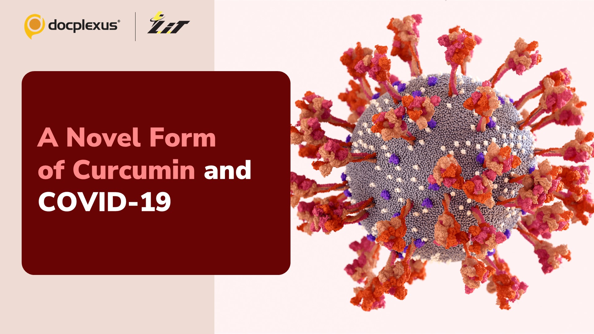 Curcumin Boosts Immunity in Adults Recovered from COVID-19 and Subsequently Vaccinated