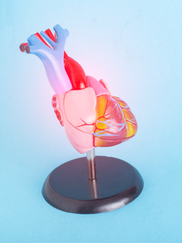 Short Duration DAPT Using DES Safety of Paclitaxel-coated Devices