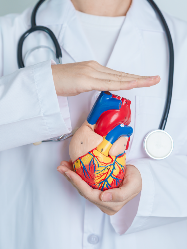 Recent Updates in Valvular Heart Disease Management and Guidelines