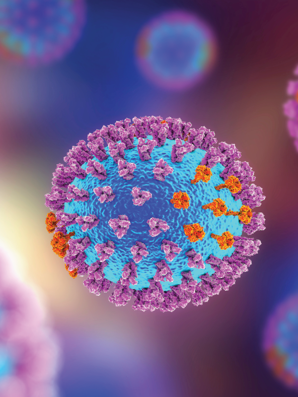 COVID-19 & Influenza Infection: Preventive Measures and Treatment