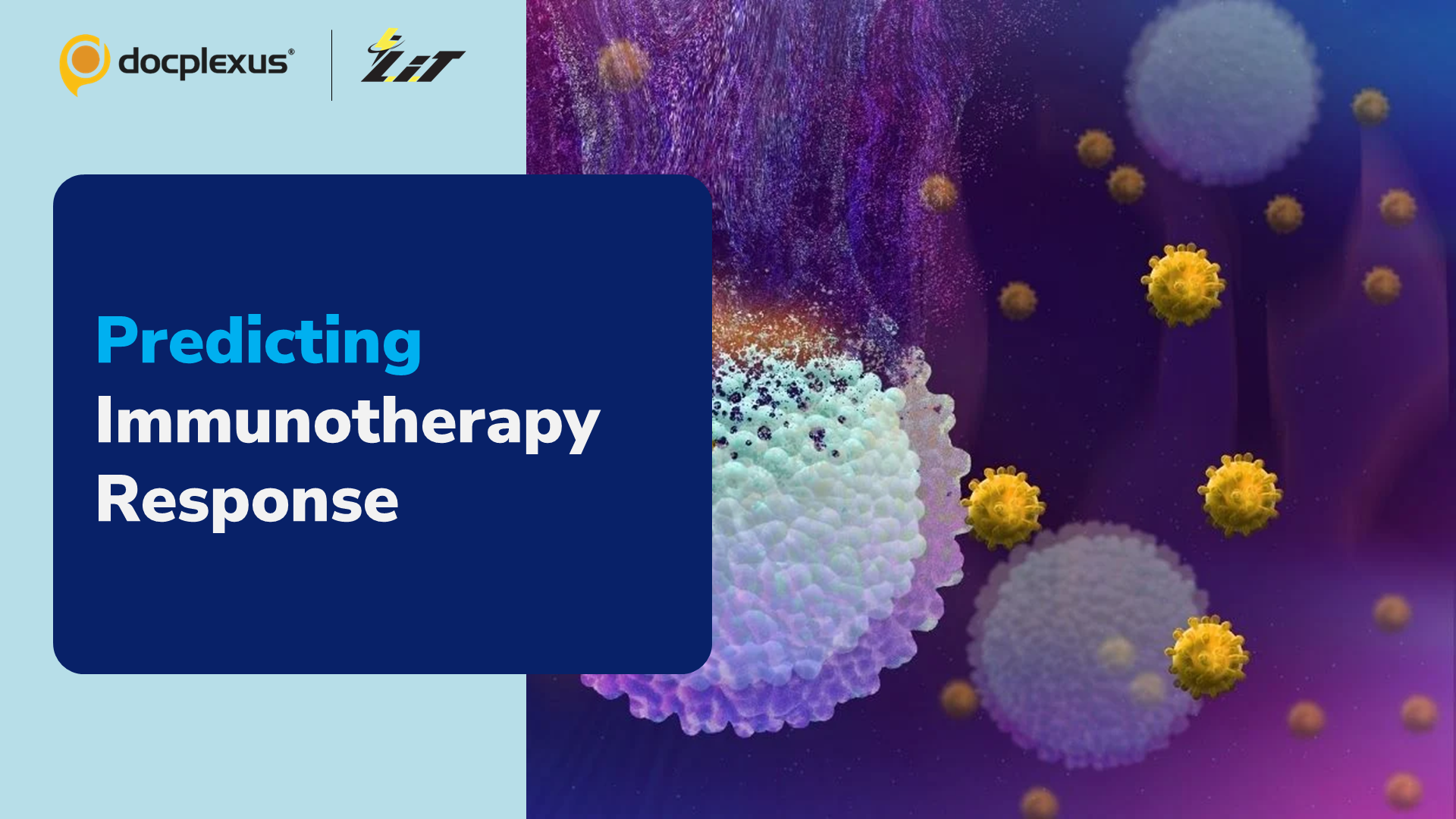 Predicting Whether a Given Immunotherapy Regimen Will Work