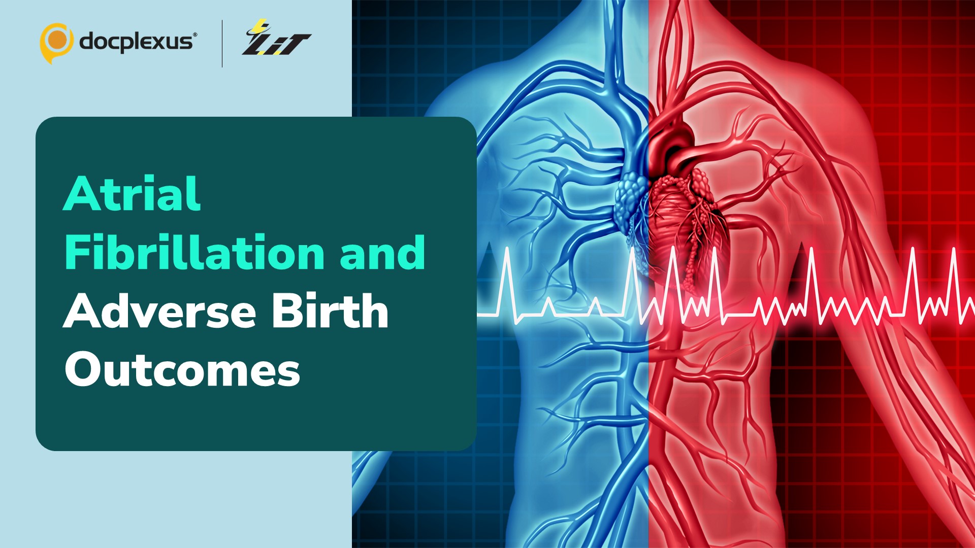 Can Adverse Birth Outcomes Determine the Risk of Atrial Fibrillation in Later Life?