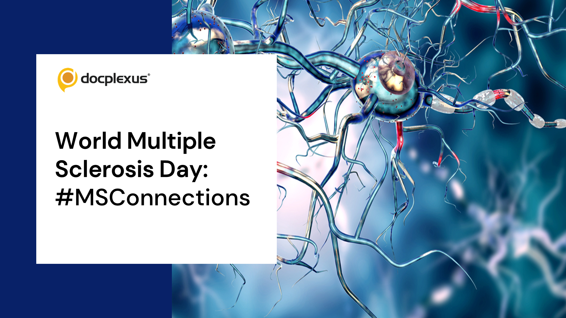 World Multiple Sclerosis Day: Connecting the World