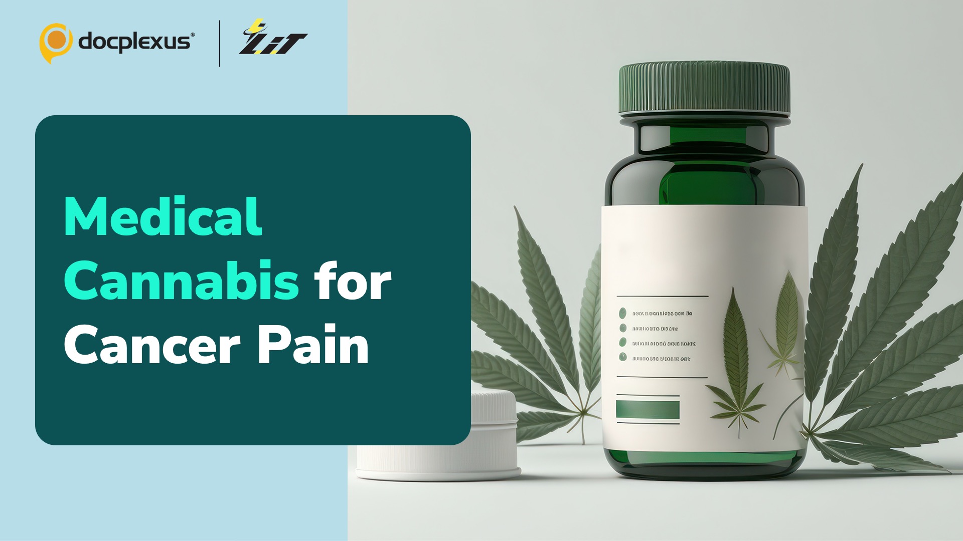 Can Medical Cannabis be an Alternative to Opioids in Treating Pain?