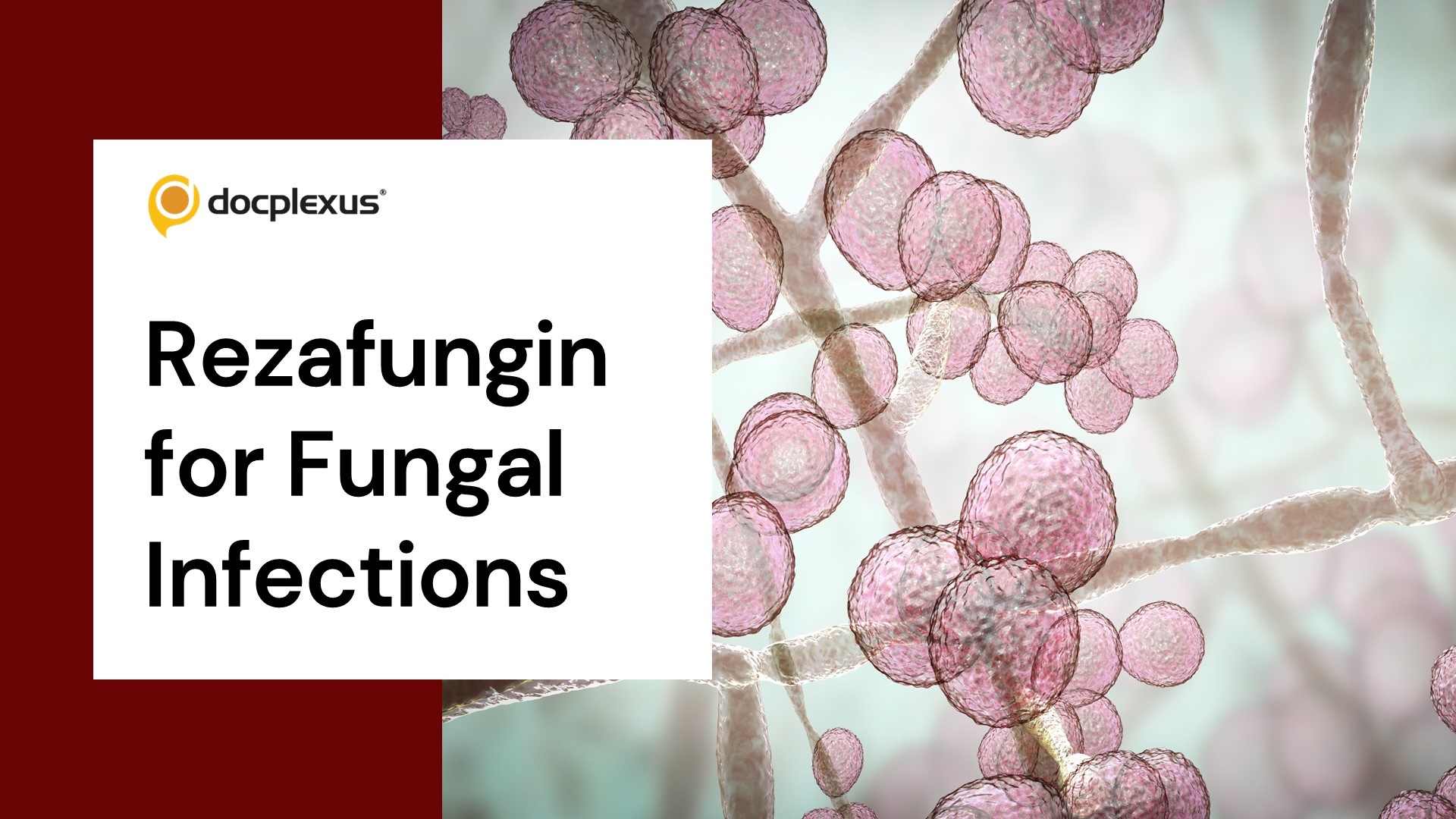 FDA Approves Rezafungin for Injection for Treating Candida Infections
