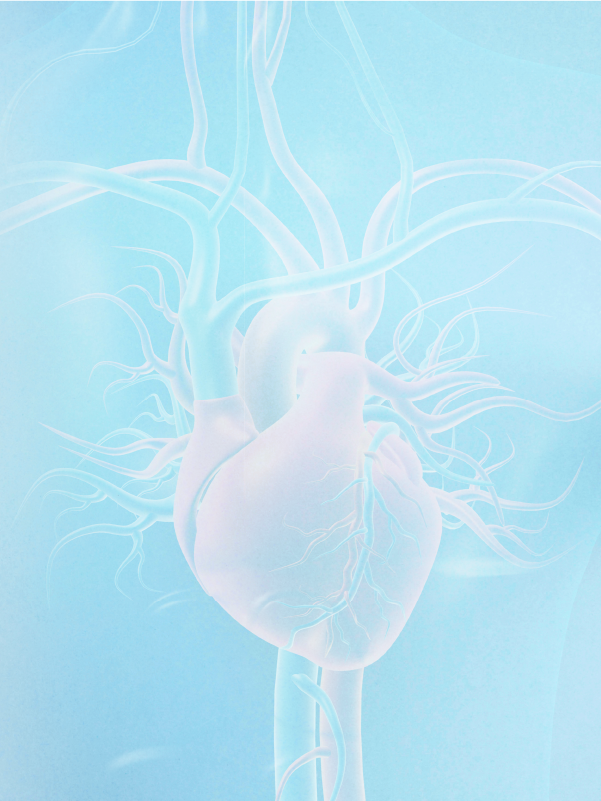 Glycemic Variability in Cardiovascular Disease  –  A Cross-speciality Talk
