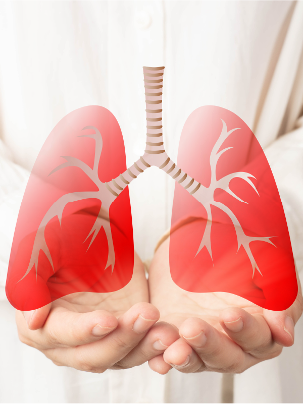 Balancing Benefits & Risks: Antibiotic & Steroid Use in COPD Exacerbations