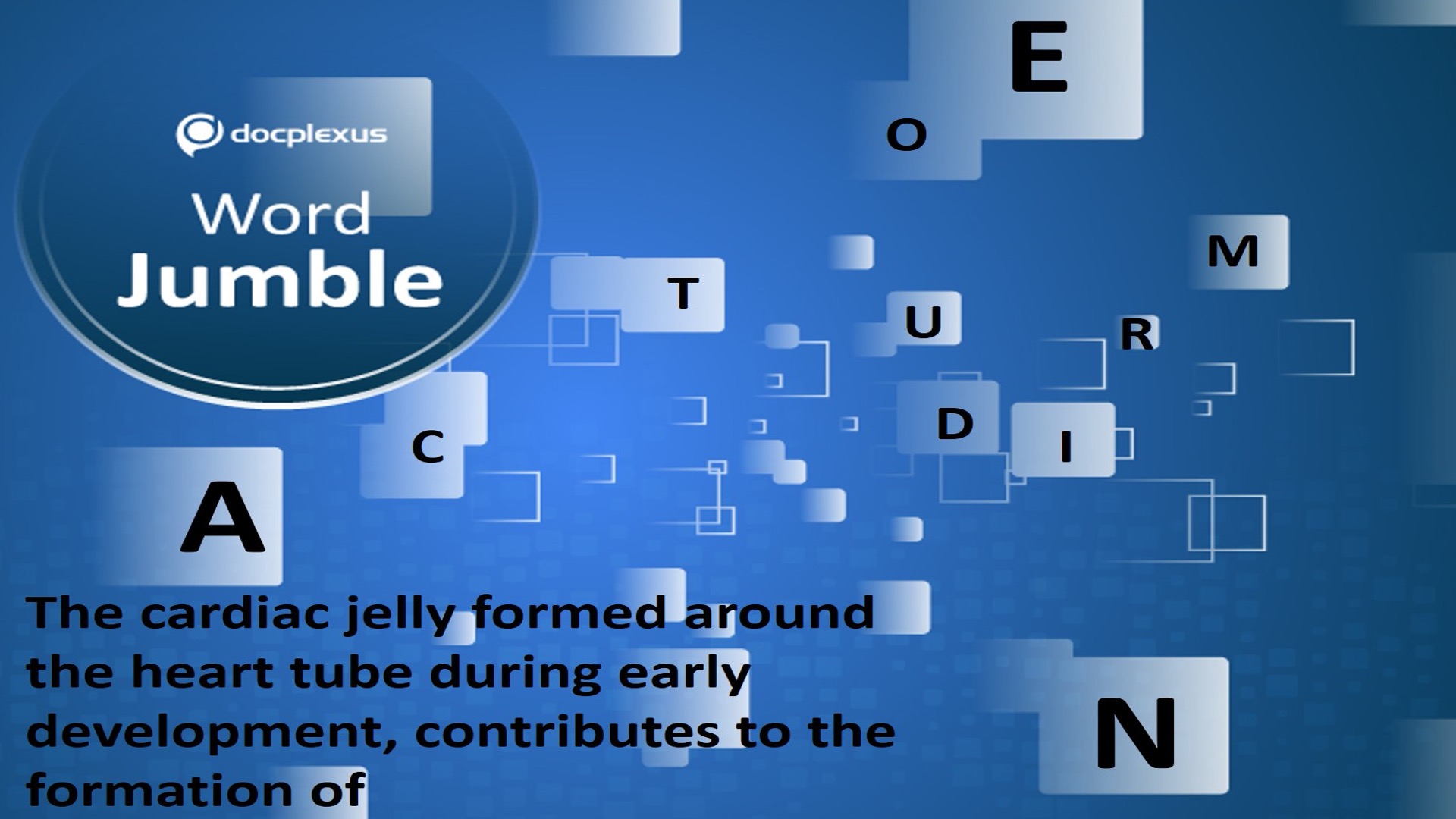 Cardiac Jelly Contributes to the Development of _____.