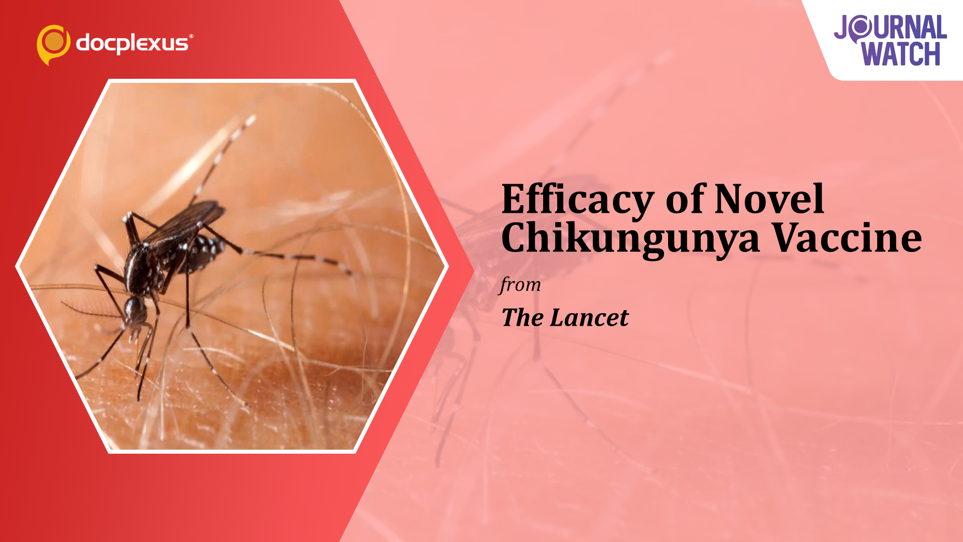 The First Chikungunya Virus Vaccine
