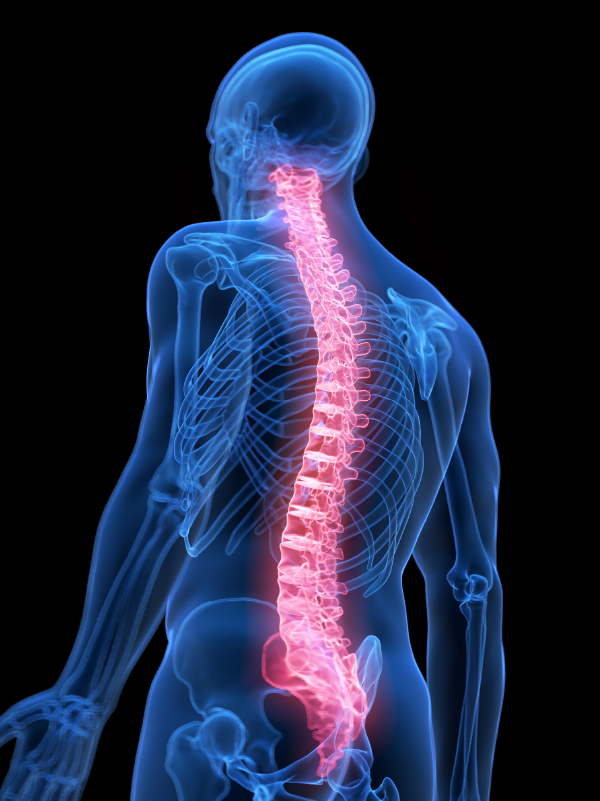 Identifying Red Flags and Referral Indicators for Spinal Conditions