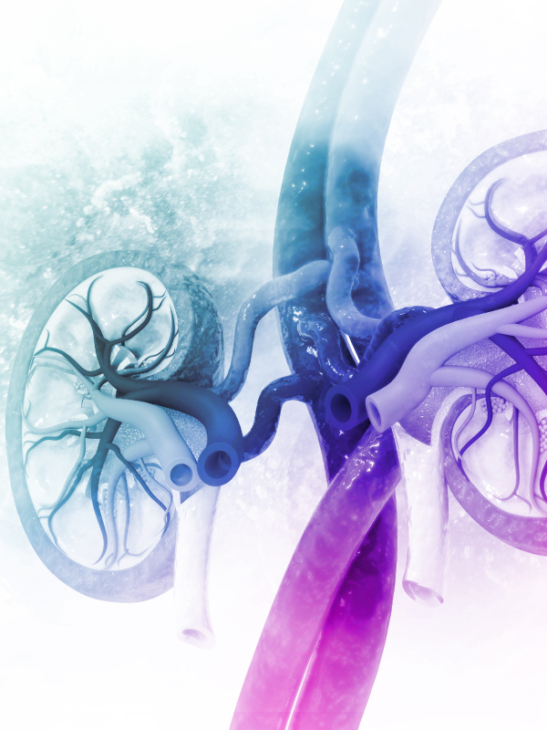 Diabetes: A Major Risk Factor for Kidney Disease