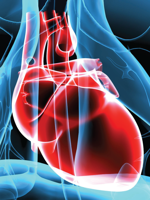 Latest Guidelines: Heart Failure | Cardiovascular Care for Non-cardiac Surgery Patients