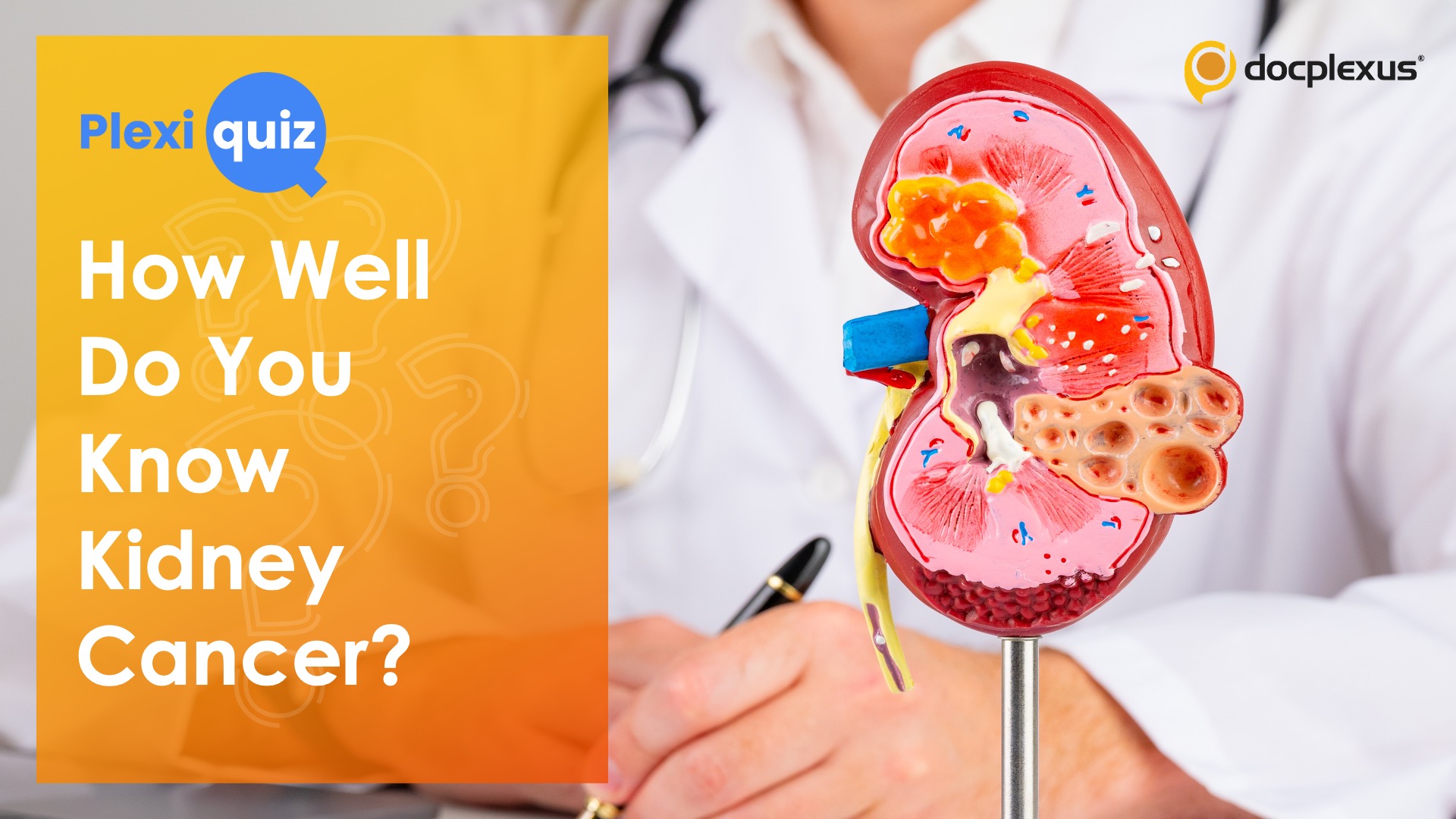 Ace This Quiz on Kidney Cancer