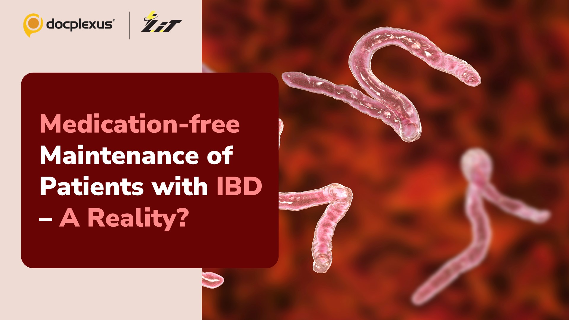 A Dose of Hookworms to Manage Ulcerative Colitis