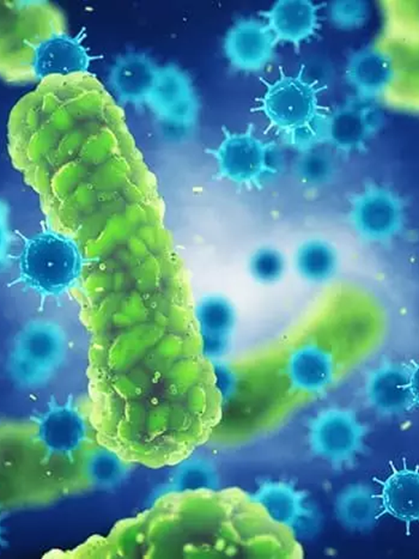 Unmasking the Unknown in Infectious Diseases - A Case-based Learning