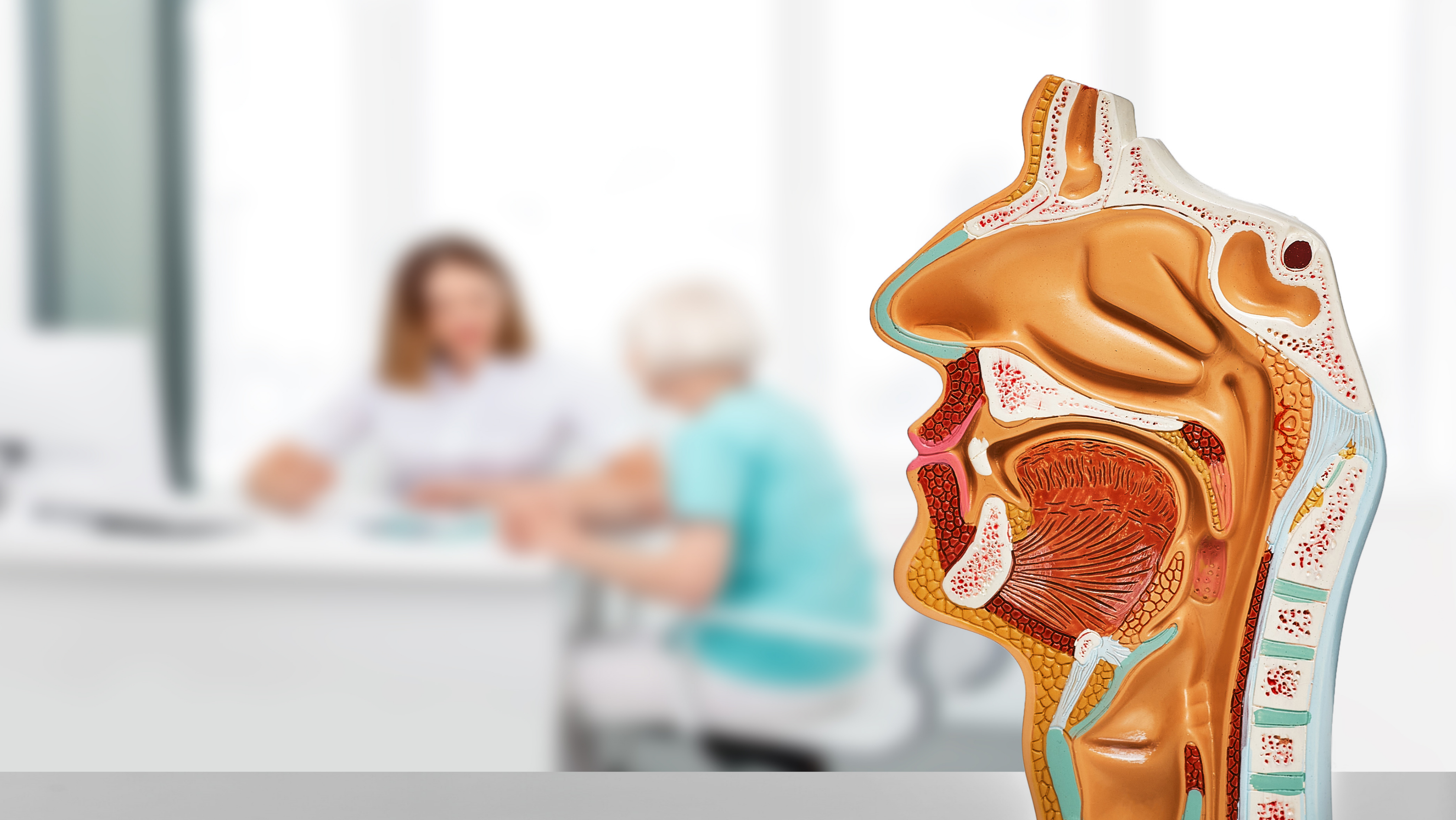 Oral, Head, and Neck Cancer