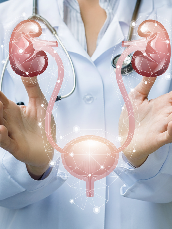 Timely Management of Shock | Neural Control of Bladder