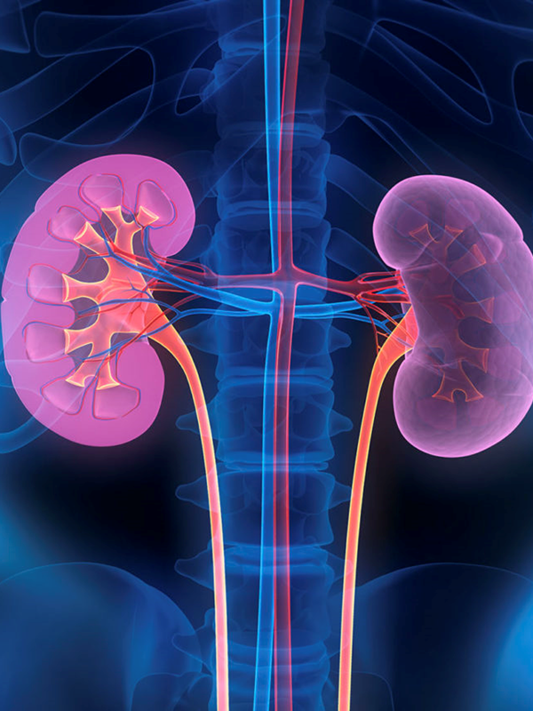 Approach to Hypernatremia | Medicolegal Safeguard at Individual Clinic Level