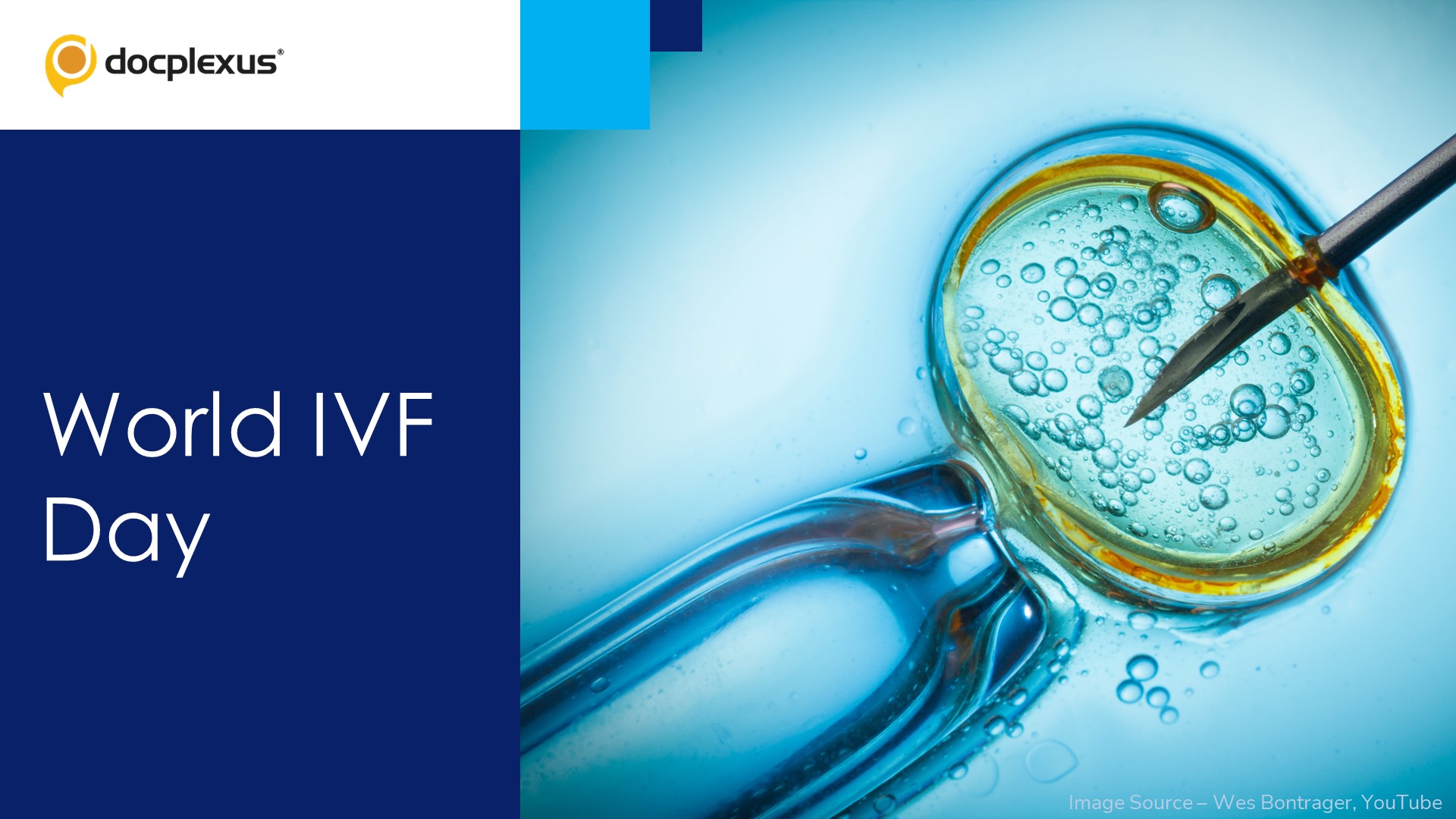 IVF: Breaking the Stereotypes